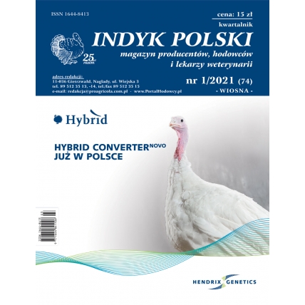 Indyk Polski 74 (1/2021) - wydanie papierowe