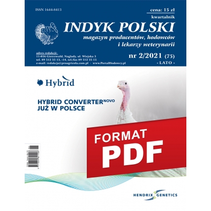 Indyk Polski 75 (2/2021) e-wydanie
