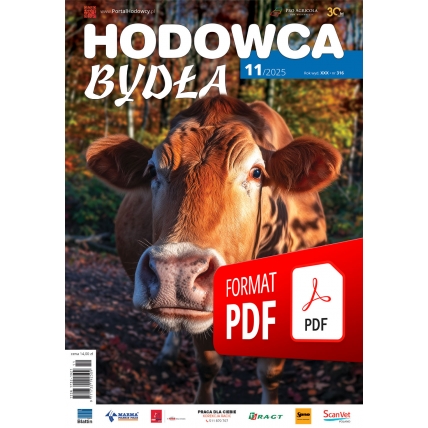 Hodowca Bydła 11/2025 e-wydanie