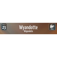 Karty Ras Kur - Wyandotte