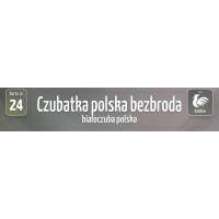 Karty Ras Kur - Czubatka polska bezbroda