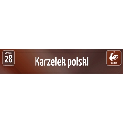 Karty Ras Kur - Karzełek polski
