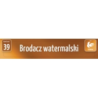Karty Ras Kur - Brodacz watermalski Karty Ras Kur - Brodacz watermalski