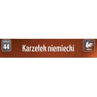 Karty Ras Kur - Karzełek niemiecki Karty Ras Kur - Karzełek niemiecki