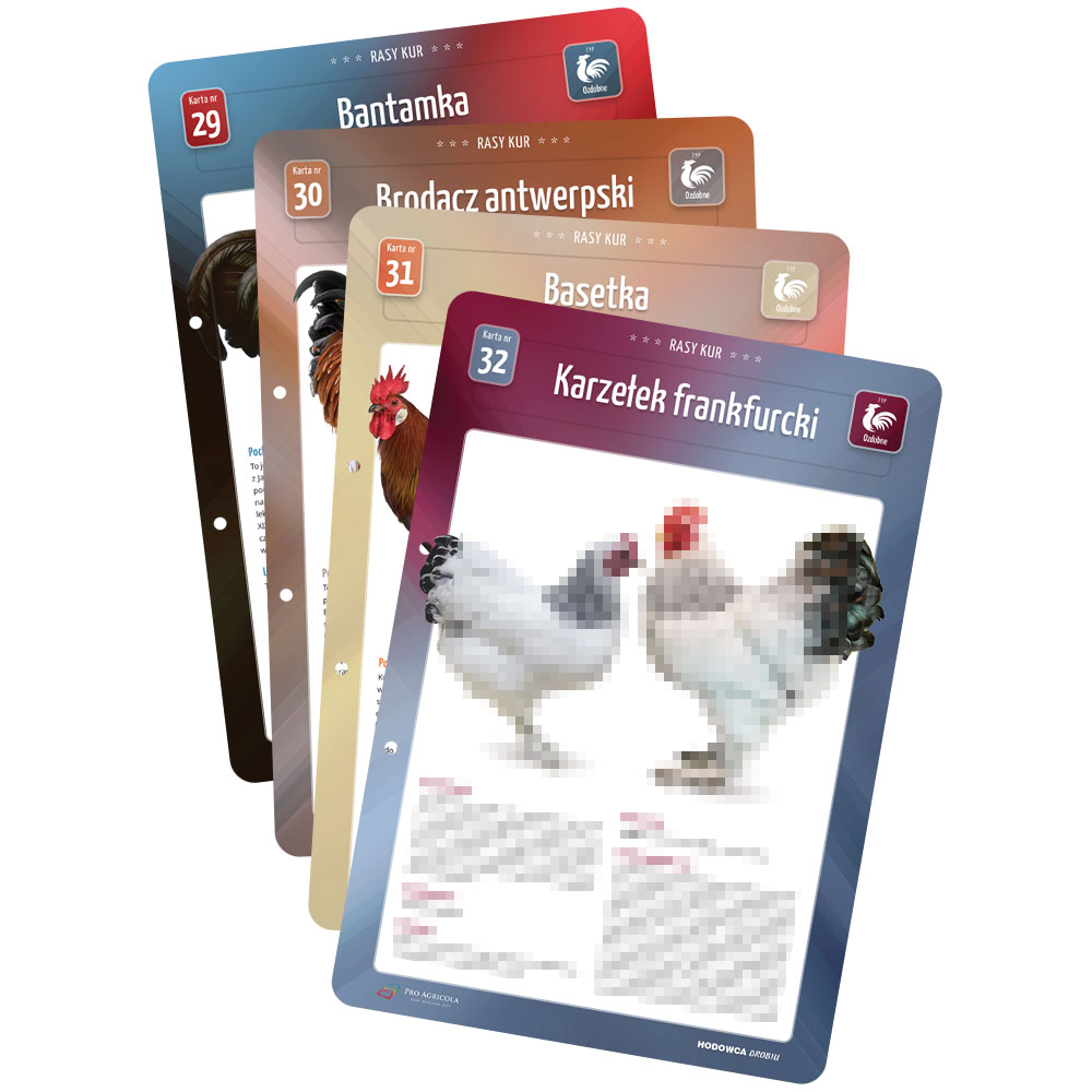 Karty Ras Kur - 4 sztuki (29, 30, 31, 32) Karty Ras Kur - 4 sztuki (29, 30, 31, 32)