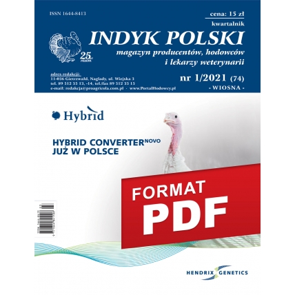 Indyk Polski 74 (1/2021) e-wydanie