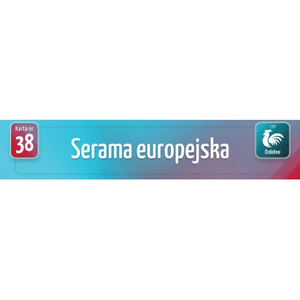 Karty Ras Kur - Serama europejska