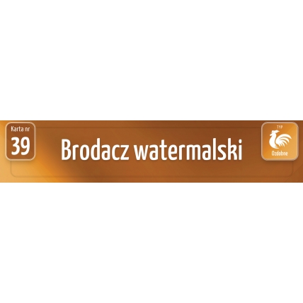 Karty Ras Kur - Brodacz watermalski
